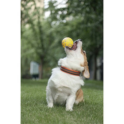 M-Pets Bloom Ball Parçalanmaz Top Köpek Oyuncağı Sarı 7 Cm - Thumbnail