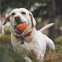 M-Pets Bloom Ball Parçalanmaz Top Köpek Oyuncağı Turuncu 7 Cm - Thumbnail