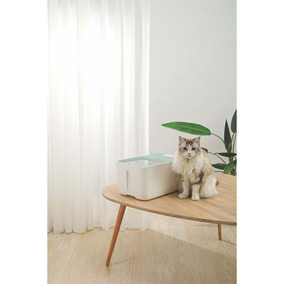 M-Pets Boxi Mama Saklama Kabı 10 Lt 