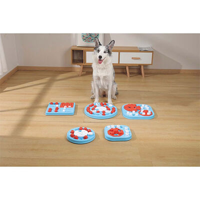 M-Pets Brainy Games Da Vinci Puzzle 2.Seviye Köpek Eğitim Oyuncağı 14x13,5x3 Cm 