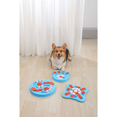 M-Pets Brainy Games Einstein Puzzle 3.Seviye Köpek Eğitim Oyuncağı 29,5x29,5x5 Cm 