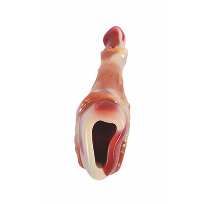 M-Pets Carnivore But Şeklinde Pastırma Aromalı Kemik Köpek Oyuncağı 12,4x6,1x3,5 Cm 