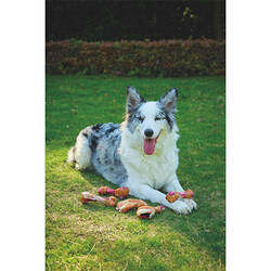 M-Pets Carnivore But Şeklinde Pastırma Aromalı Kemik Köpek Oyuncağı 12,4x6,1x3,5 Cm - Thumbnail
