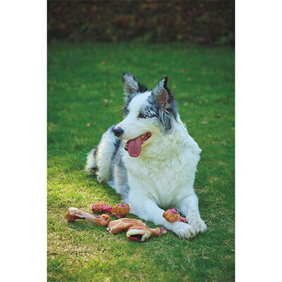 M-Pets Carnivore Pastırma Aromalı Kemik Köpek Oyuncağı 14,5x5,1x5 Cm 