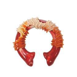 M-Pets Carnivore Ring Bone Pastırma Aromalı Kemik Köpek Oyuncağı Large 14x13,7x4,1 Cm - Thumbnail