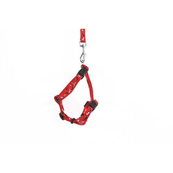 M-Pets Catogo Kedi Göğüs Tasması Seti Kırmızı 90-170 Cm - Thumbnail