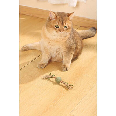 M-Pets Charmy Brancy Yeşil Catnipli Kedi Oyuncağı 18 cm 