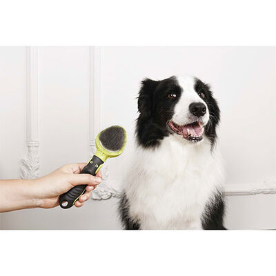 M-Pets Click & Groom İnce Telli Yavru Kedi ve Köpek Tarağı 20,3x6,2x3,9 cm 