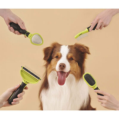 M-Pets Click & Groom Kıtık Açıcı Kedi ve Köpek Tarağı Large 13x7x7 Cm 