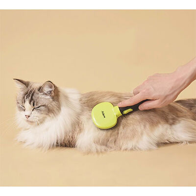 M-Pets Click & Groom Masaj Uçlu Kedi ve Köpek Fırçası Small 8 x 6,5 x 5 cm 