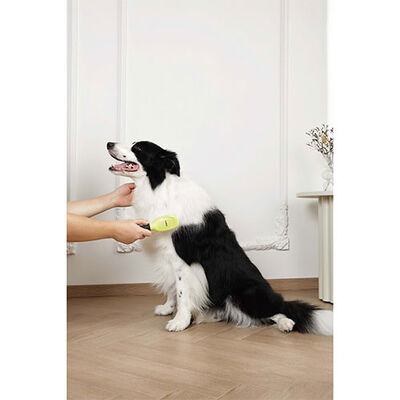 M-Pets Click & Groom Masaj Uçlu Kedi ve Köpek Tarağı 22x5,2x4,4 Cm 