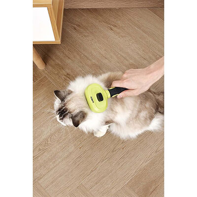 M-Pets Click Groom Temizleme Düğmeli Masaj Uçlu Kedi ve Köpek Tarağı 19,2x9x5,5 Cm 