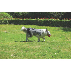 M-Pets Coto Red Ball Örgü Top Köpek Oyuncağı 9,5 Cm - Thumbnail