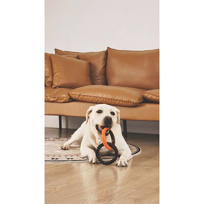 M-Pets Double Ring King Köpek Oyuncağı 2'li 20x12,7x2,2 Cm 