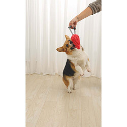 M-Pets Drogo Ödül Hazneli Köpek Oyuncağı Turuncu 18x8,5x8,5 Cm - Thumbnail