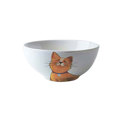 M-Pets Galya Seramik Kedi Mama ve Su Kabı 550 Ml 