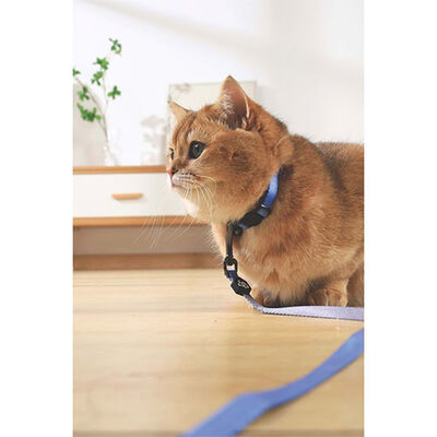 M-Pets Gentle Kedi Boyun Tasması Mavi 20-30 Cm 