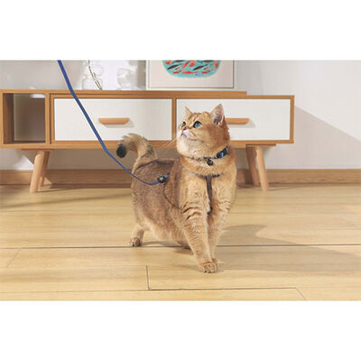 M-Pets Gentle Kedi Boyun Tasması Mavi 20-30 Cm 