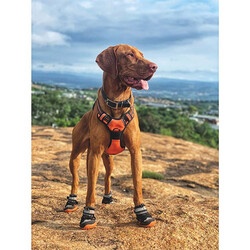 M-Pets Hiking Köpek Ayakkabısı S-M - Thumbnail