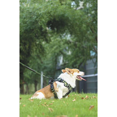 M-Pets Hiking Reflektörlü Köpek Göğüs Tasması Kamuflaj Medium 40-75 Cm 