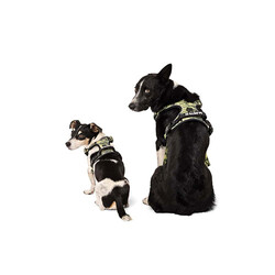 M-Pets Hiking Reflektörlü Köpek Göğüs Tasması Kamuflaj Small 35-60 Cm - Thumbnail