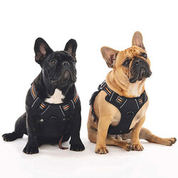 M-Pets Hiking Reflektörlü Köpek Göğüs Tasması Turuncu Medium 40-75 Cm - Thumbnail
