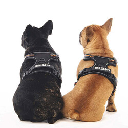 M-Pets Hiking Reflektörlü Köpek Göğüs Tasması Turuncu Medium 40-75 Cm - Thumbnail