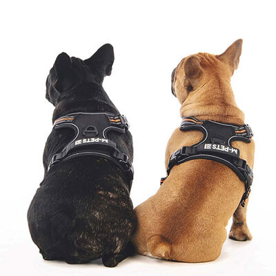 M-Pets Hiking Reflektörlü Köpek Göğüs Tasması Turuncu Small 35-60 Cm 