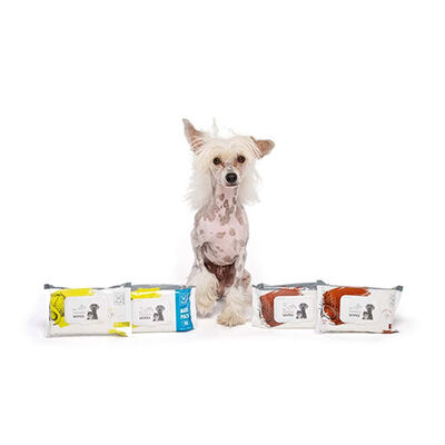 M-Pets Kedi ve Köpekler İçin Hindistan Cevizli Temizleme Mendili 80'li 