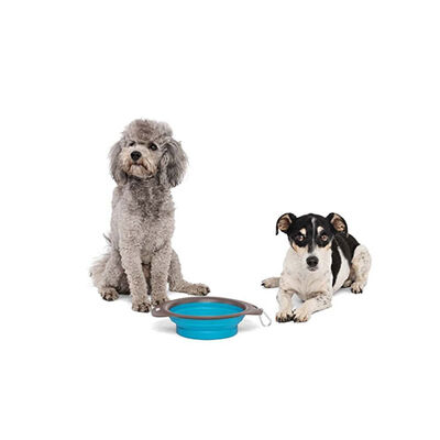 M-Pets Kedi ve Köpekler İçin Katlanır Silikon Mama ve Su Kabı Mavi 420 Ml 