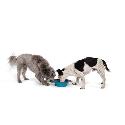 M-Pets Kedi ve Köpekler İçin Katlanır Silikon Mama ve Su Kabı Mavi 420 Ml 