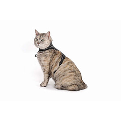 M-Pets Letsgo Kedi Göğüs Tasması Seti 30-42 Cm - Thumbnail