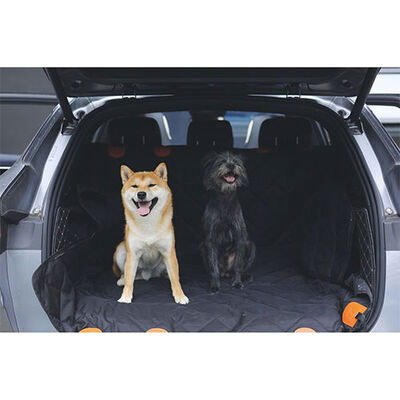 M-Pets Lungo Köpekler İçin Araç Koruma Örtüsü Siyah 152x59 Cm 