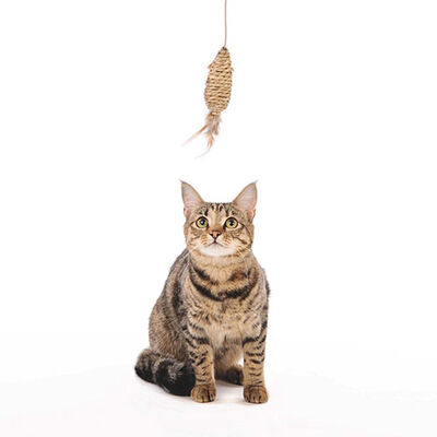 M-Pets Natura Olta Kedi Oyuncağı 35 Cm 