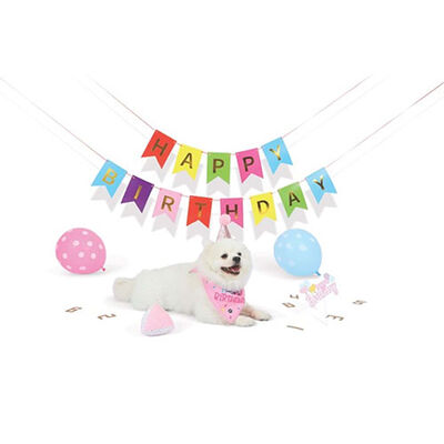 M-Pets Party Time Dişi Köpekler İçin Doğum Günü Seti 20x20x7 Cm 