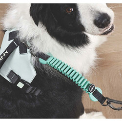 M-Pets Pull Power Köpekler İçin Şok Emici Ara Tasma Yeşil 25 Cm - Thumbnail