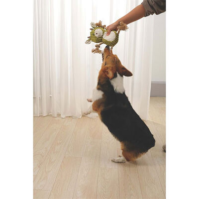 M-Pets Rosie Peluş Köpek Oyuncağı 28x23x11 Cm 