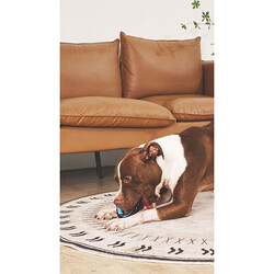 M-Pets Single Ring King Köpek Oyuncağı 12,7x12,7x2,2 Cm - Thumbnail