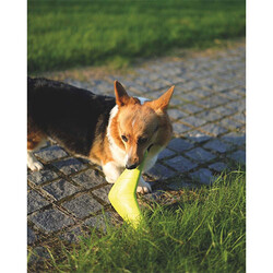 M-Pets Splash Frizbi Köpek Oyuncağı Turuncu 19x23x3 Cm - Thumbnail