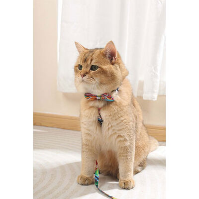 M-Pets Urban Style Freestyle Kedi ve Köpek Papyonu Medium 