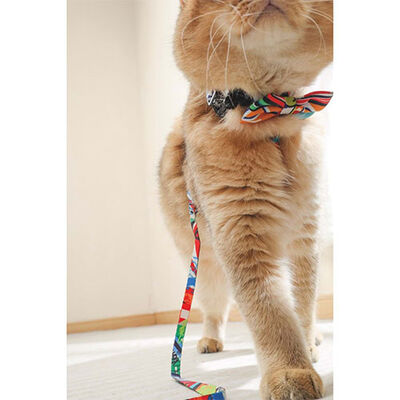 M-Pets Urban Style Freestyle Kedi ve Köpek Papyonu Xs-S 