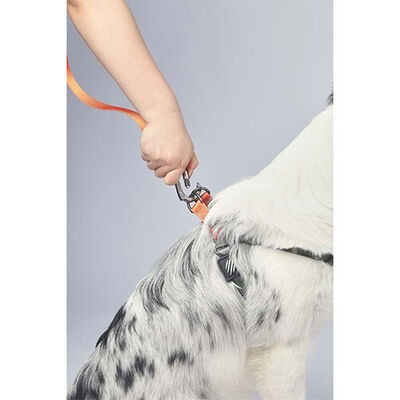 M-Pets Wild Jungle Köpek Gezdirme Kayışı Turuncu Small-Medium 1x120 Cm 
