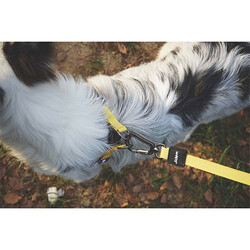 M-Pets Wild Safari Köpek Gezdirme Kayışı Sarı Small-Medium 1x120 Cm - Thumbnail