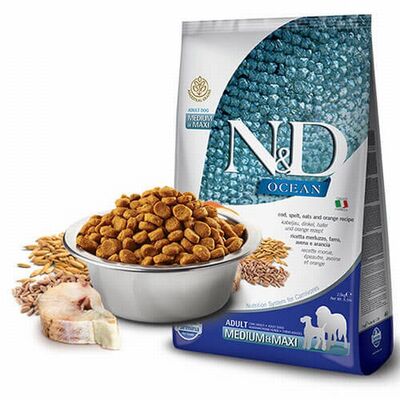 N&D Ocean Balıklı Portakallı Orta ve Büyük Irk Düşük Tahıllı Yetişkin Köpek Maması 2,5 Kg 