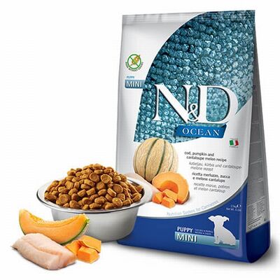 N&D Ocean Morina Balıklı Balkabaklı Kavunlu Küçük Irk Tahılsız Yavru Köpek Maması 2,5 Kg 