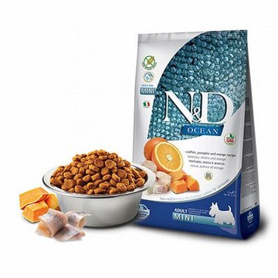 N&D Ocean Pumpkin Balkabaklı Morina Balıklı Portakallı Küçük Irk Tahılsız Yetişkin Köpek Maması 2,5 Kg 
