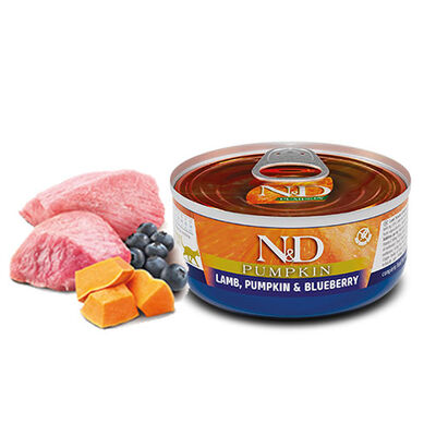 N&D Pumpkin Balkabaklı Kuzulu Yaban Mersinli Tahılsız Yetişkin Kedi Konservesi 6 Adet 70 Gr 