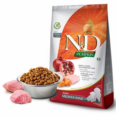 N&D Pumpkin Balkabaklı Tavuklu ve Narlı Orta ve Büyük Irk Tahılsız Yavru Köpek Maması 2,5 Kg 
