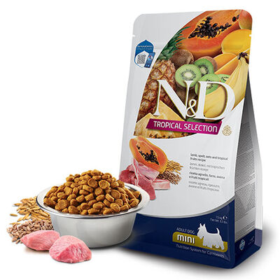 N&D Tropical Selection Kuzu Etli ve Tropikal Meyveli Mini Irk Yetişkin Köpek Maması 1,5 Kg 