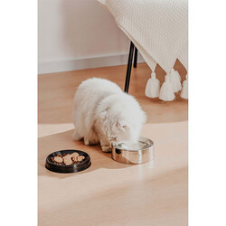 Pawgether Bowl 2 Kedi ve Küçük Irk Köpek Çelik Mama ve Su Kabı 400 Ml - Thumbnail